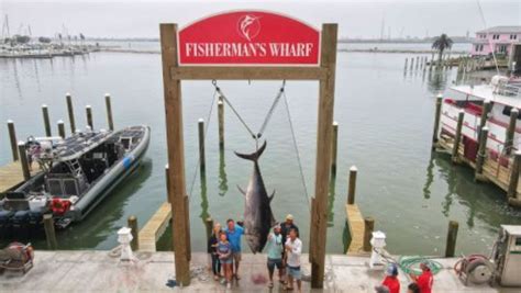play captain cash|Port Aransas Texas Fishing Charters .